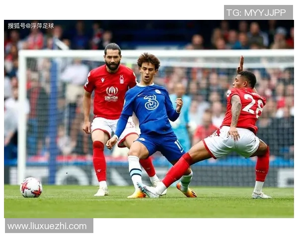 欧美足球明星的风云变幻与时代印记全景图册